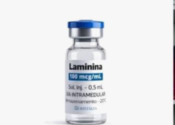 Anvisa autoriza uso compassivo da polilaminina para pacientes com lesão medular